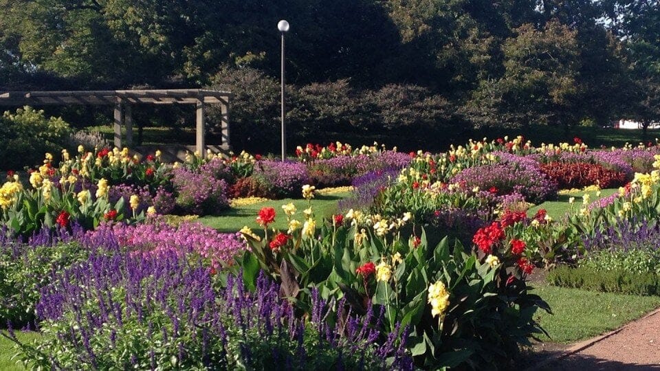 No image description available.