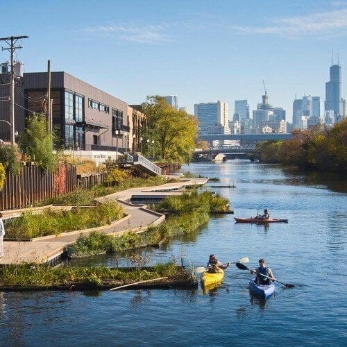 kayakers on a river next to a stretch of green plant life
